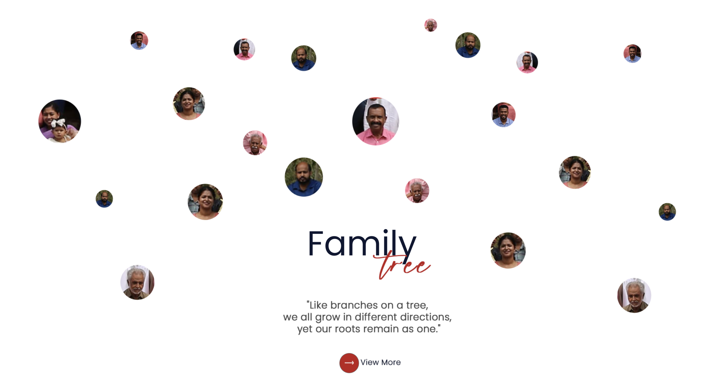 Family Tree